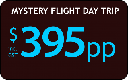 395